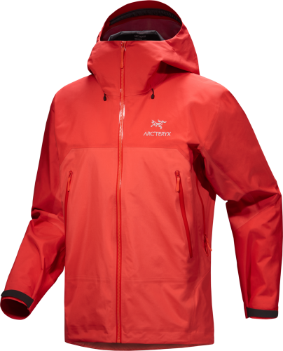 X000006488-002497 Arcteryx Beta AR Men Stodmhood Dynasty (3).png