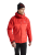 X000006488-002497 Arcteryx Beta AR Men Stodmhood Dynasty (5).png
