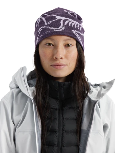 czapka arcteryx bird head toque moondrop (1).png