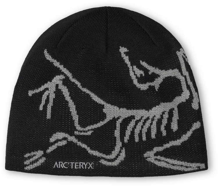 X000006756_021259 Arcteryx Bird Head Toque Black Void (2).png