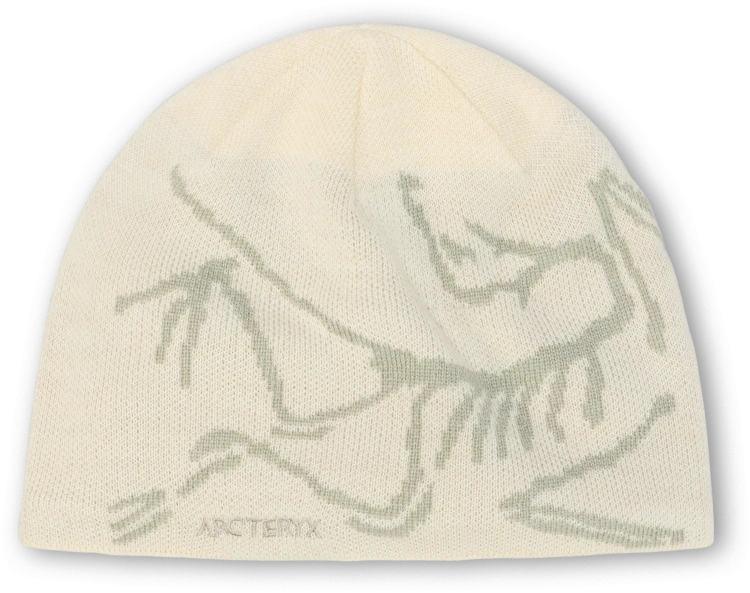 X000006756_022831 Arcteryx Bird Head Toque Sea Salt  (3).png