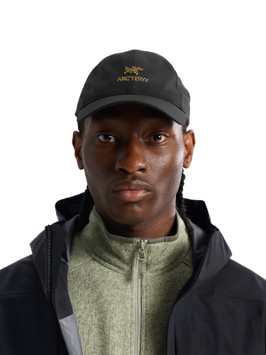 X000009463_001929 Arcteryx Bird Word Cap 24k Black  (5).png