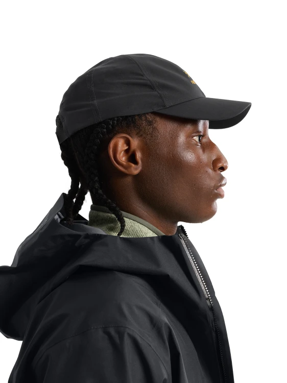 X000009463_001929 Arcteryx Bird Word Cap 24k Black  (1).png