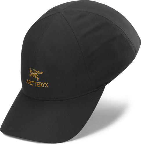 X000009463_001929 Arcteryx Bird Word Cap 24k Black  (2).png