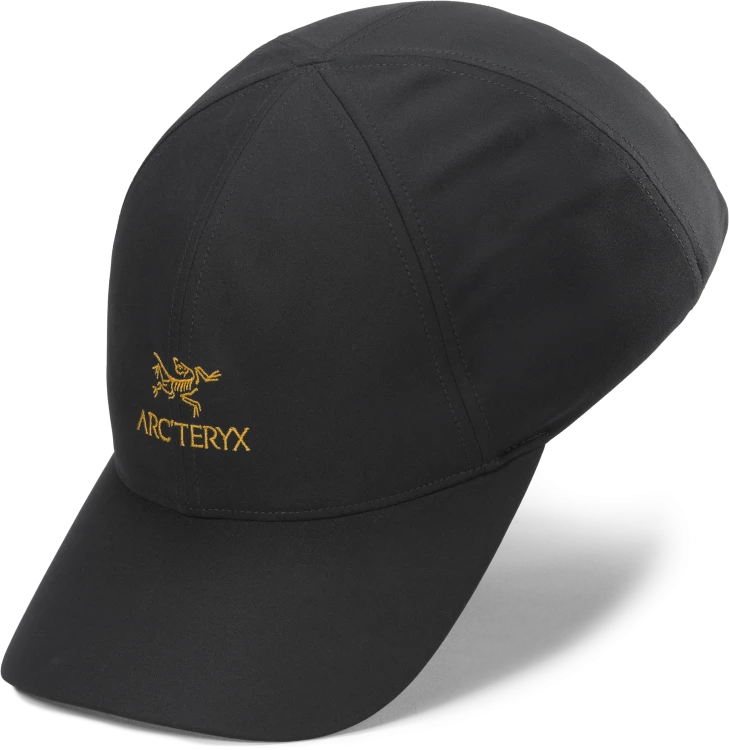 X000009463_001929 Arcteryx Bird Word Cap 24k Black  (2).png