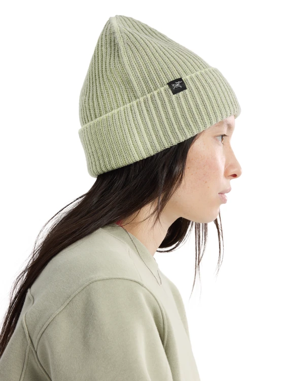X000009930_022886 Arcteryx Ribbed Toque Habitat Shincha  (2).png