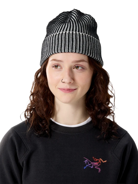 X000009930_021941 Arcteryx Ribbed Toque Black Arctic Silk (4).png