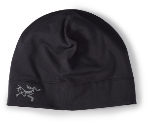 X000007284_002291 Arcteryx Rho Syntetic Toque Black (2).png