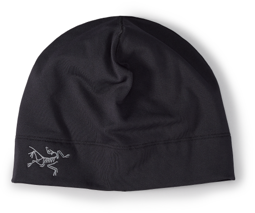 X000007284_002291 Arcteryx Rho Syntetic Toque Black (2).png