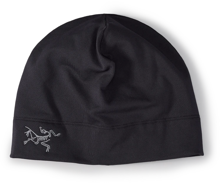 X000007284_002291 Arcteryx Rho Syntetic Toque Black (2).png