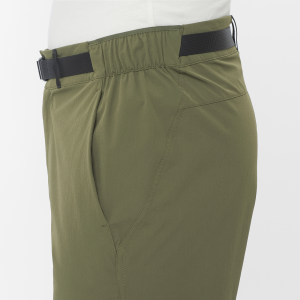 LC2746800 Spodenki męskie Salomon WAYFARER 2.0 SHORTS M Grape Leaf TatraStore (5).png
