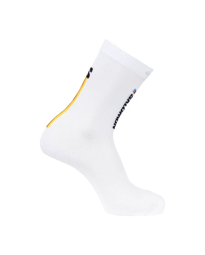 LC2910100 Tatrastore 1.webp