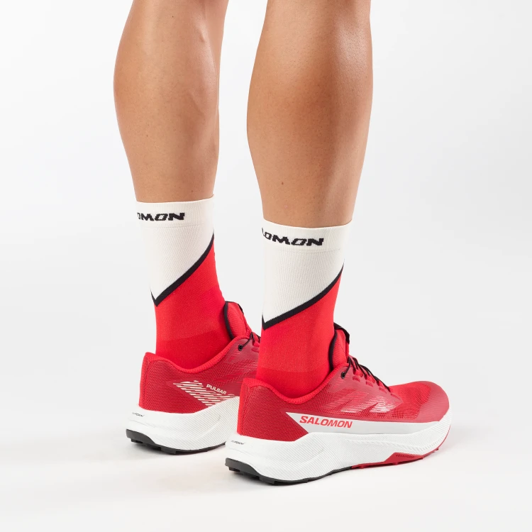 L49230100 Tatrastore (8).png