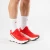 L45484100 Tatrastore  (1).png