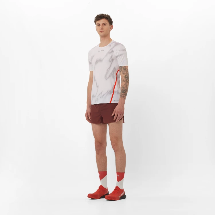 L47386700 Tatrastore (8).png