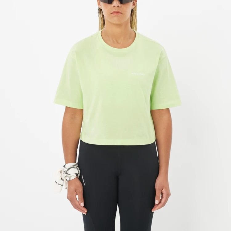 LC2834800 Tatrastore (3).png