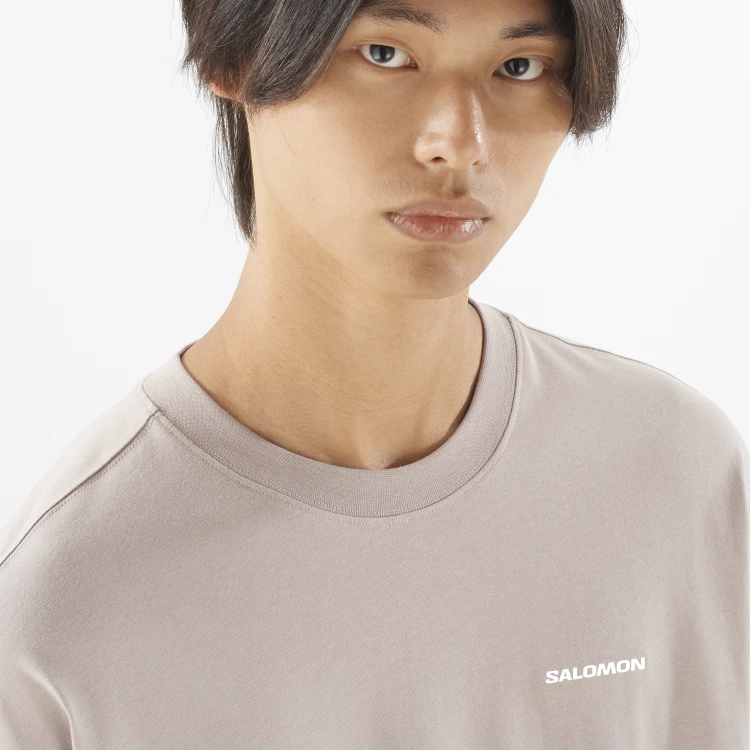 LC2527600 Tatrastore (4).png