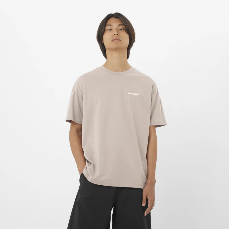 LC2527600 Tatrastore (3).png