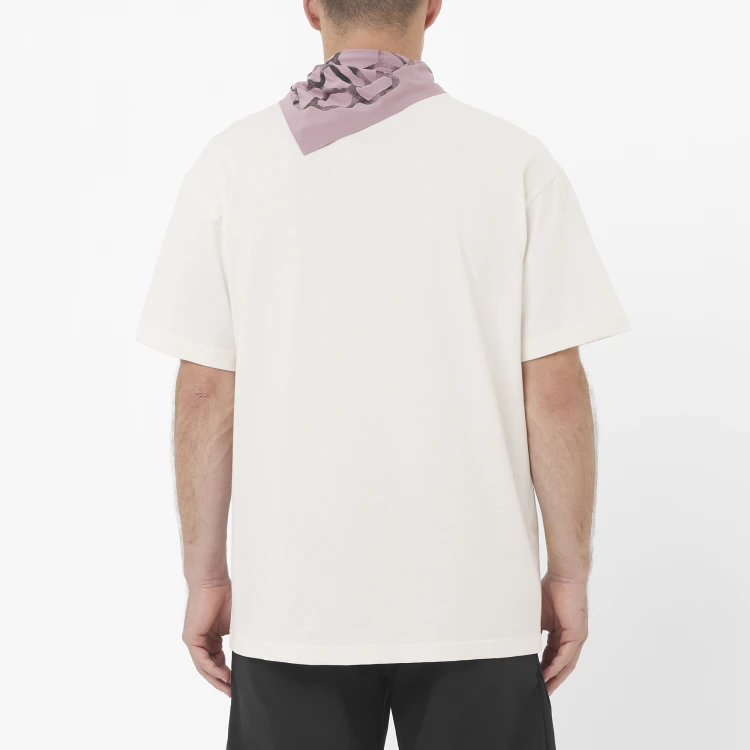 LC2836500 Tatrastore (4).png