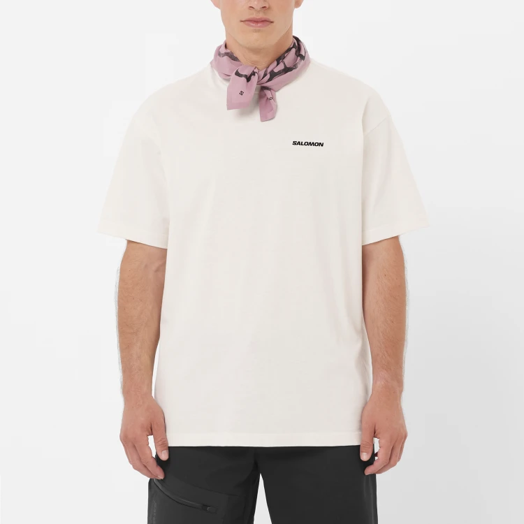 LC2836500 Tatrastore (3).png