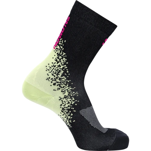 LC2909700 Tatrastore.png