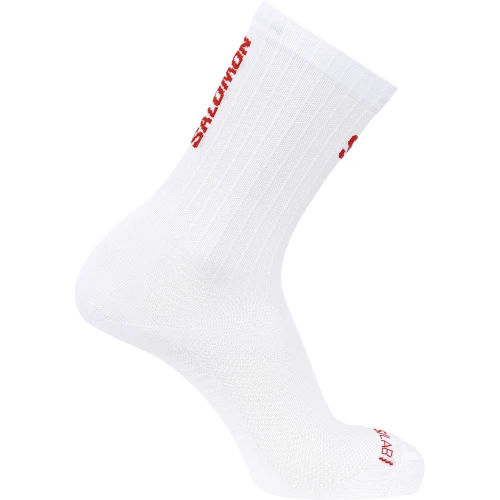 LC2909800 Tatrastore.png