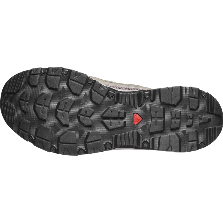L49110600 Buty Salomon TECHAMPHIBIAN 5 W Silver Sage TatraStore (5).png