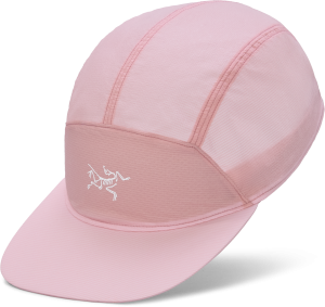X000009489_022436 Arcteryx Aerios 5 Panel Cap Bliss-Arctic Silk (3).png