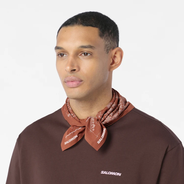 LC2952900 Tatrastore (3).png