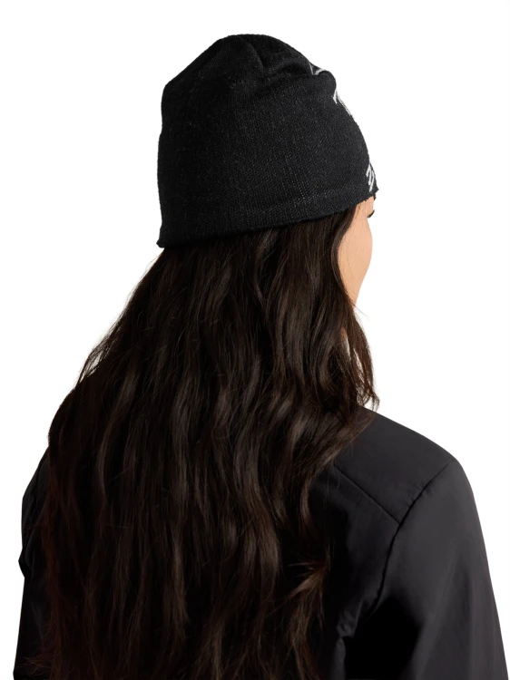 X000006756_002424 Arcteryx Bird Head Toque Orca (1).png