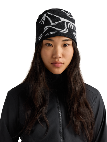 X000006756_002424 Arcteryx Bird Head Toque Orca (2).png