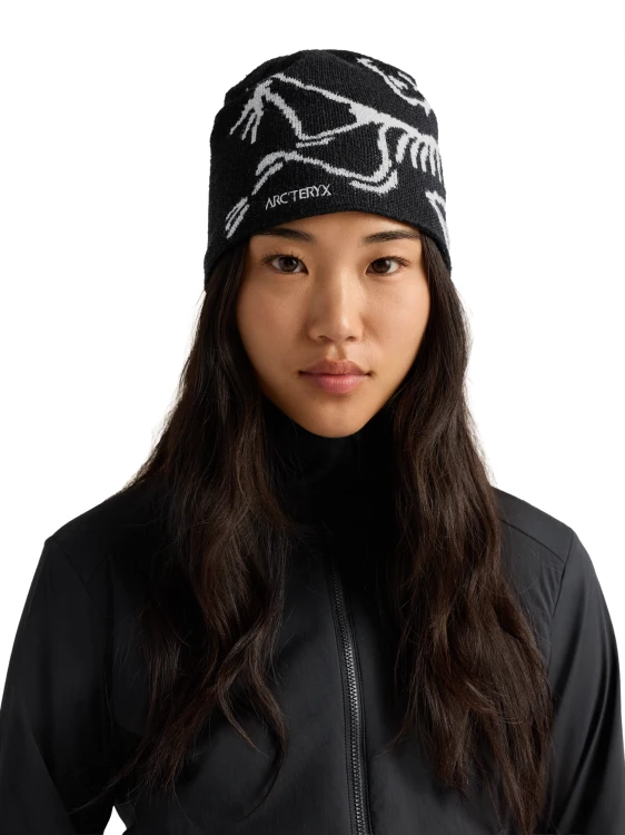 X000006756_002424 Arcteryx Bird Head Toque Orca (2).png