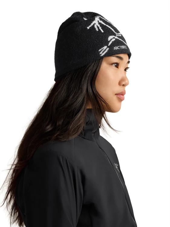 X000006756_002424 Arcteryx Bird Head Toque Orca (4).png
