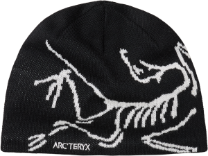 X000006756_002424 Arcteryx Bird Head Toque Orca (5).png