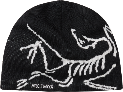 X000006756_002424 Arcteryx Bird Head Toque Orca (5).png