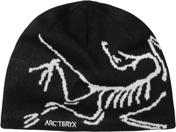 X000006756_002424 Arcteryx Bird Head Toque Orca (5).png