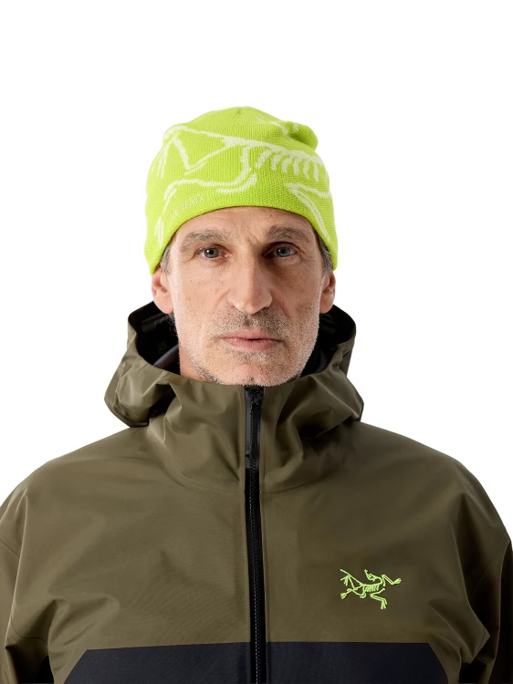 X000006756 Arcteryx Bird Head Toque Mantis - Arctic Silk  (2).png