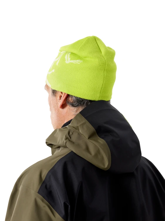 X000006756 Arcteryx Bird Head Toque Mantis - Arctic Silk  (5).png