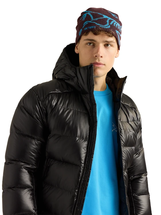 X000006756 Arcteryx Bird Head Toque Ultima - Aquaculture (1).png