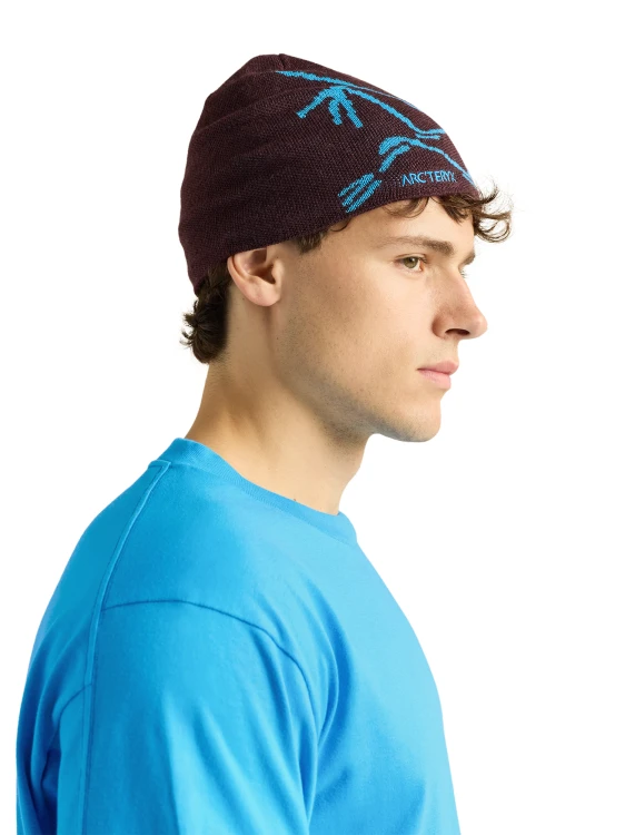 X000006756 Arcteryx Bird Head Toque Ultima - Aquaculture (3).png
