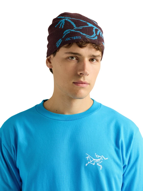 X000006756 Arcteryx Bird Head Toque Ultima - Aquaculture (4).png