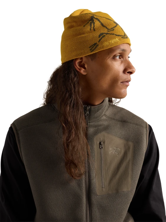 X000006756 Arcteryx Bird Head Toque Nucleus - Mongoose (3).png