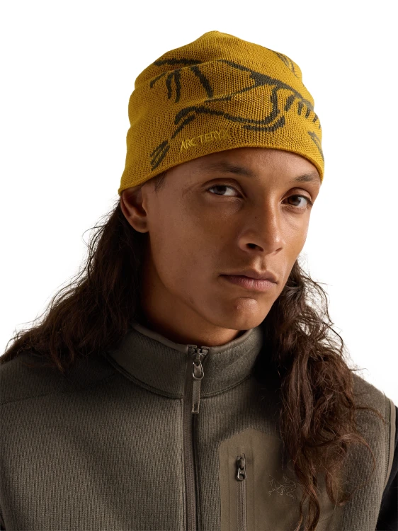 X000006756 Arcteryx Bird Head Toque Nucleus - Mongoose (1).png