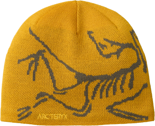 X000006756 Arcteryx Bird Head Toque Nucleus - Mongoose (2).png