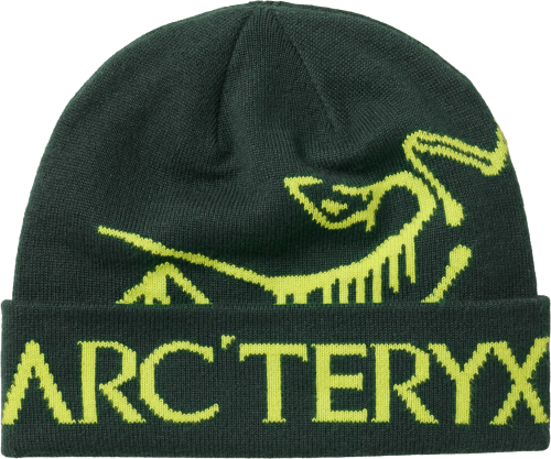 X000010979 Arcteryx Bird Word Toque Dark Jade - Mantis (2).png