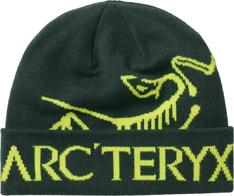 X000010979 Arcteryx Bird Word Toque Dark Jade - Mantis (2).png