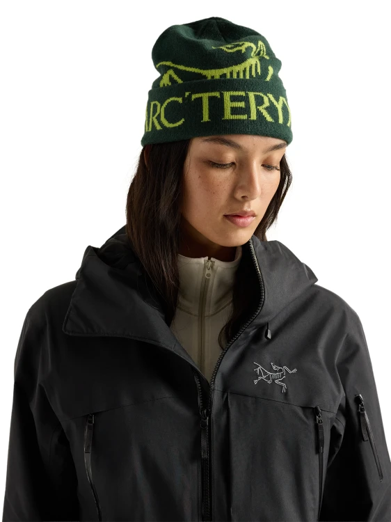 X000010979 Arcteryx Bird Word Toque Dark Jade - Mantis (3).png