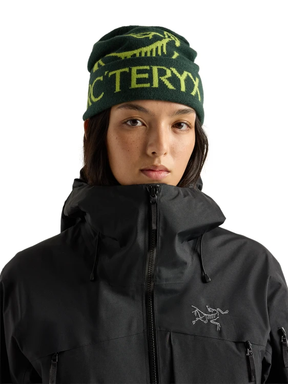 X000010979 Arcteryx Bird Word Toque Dark Jade - Mantis (4).png