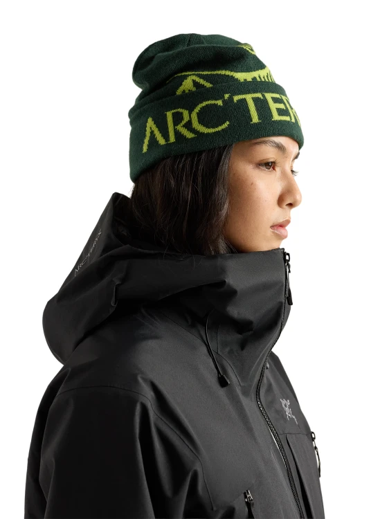 X000010979 Arcteryx Bird Word Toque Dark Jade - Mantis (5).png