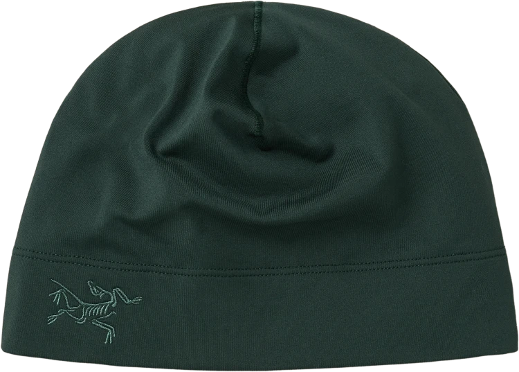 X000007284 Arcteryx Rho Synthetic Toque Dark Jade (1).png